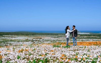 6 Ways To Let Love Grow During The Month Of Spring !