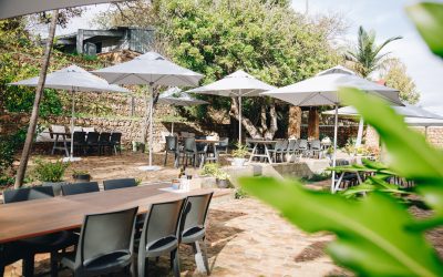 Things to Do in Paarl